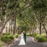 170401 Puremotion Wedding Photography Links Hope Island KateGary-0084