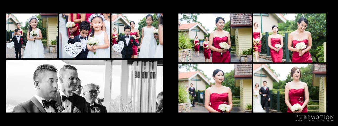 150321 Puremotion Wedding Photography Brisbane Alex Huang DavidLoan-0020