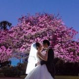 180818 Puremotion Wedding Photography Brisbane Alex Huang MichelleConan Room 360_Site-0091