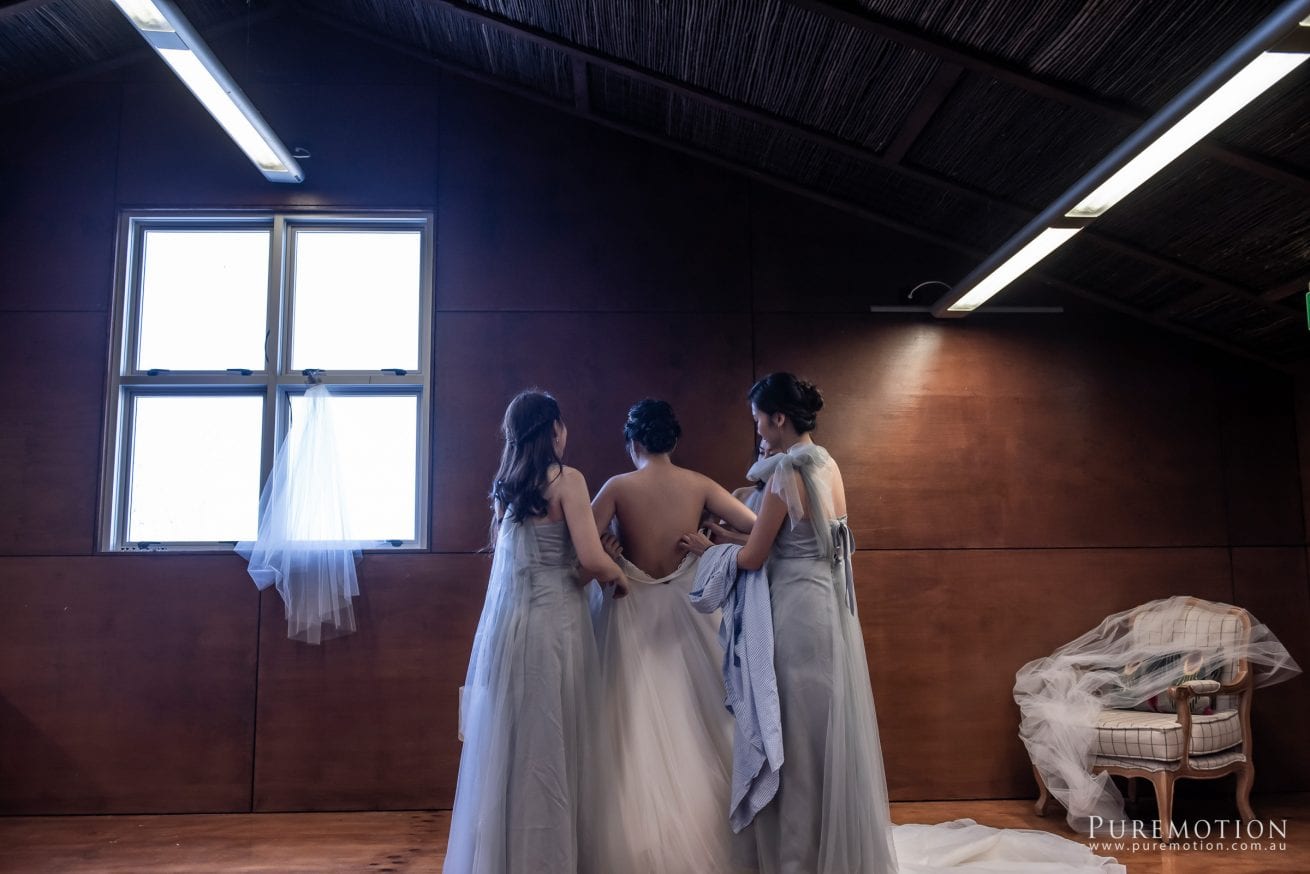 180830 Puremotion Wedding Photography Kooroomba Lavender Alex Huang NoraOscar-0022