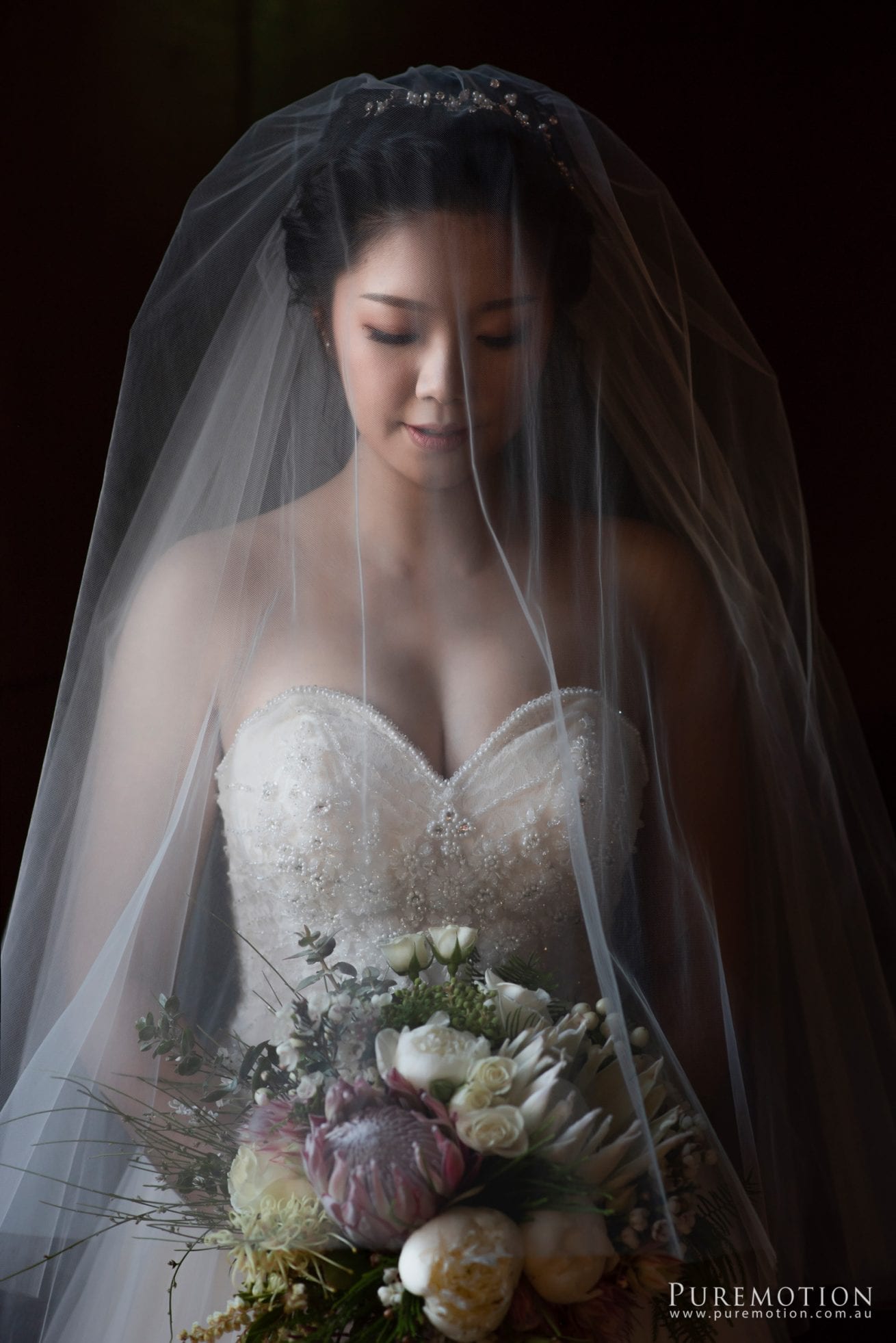 180830 Puremotion Wedding Photography Kooroomba Lavender Alex Huang NoraOscar-0034