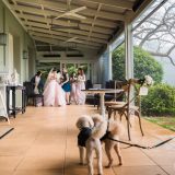 181018 Puremotion Wedding Photography Alex Huang Spicers Clovelly TiffanyKevin-0080