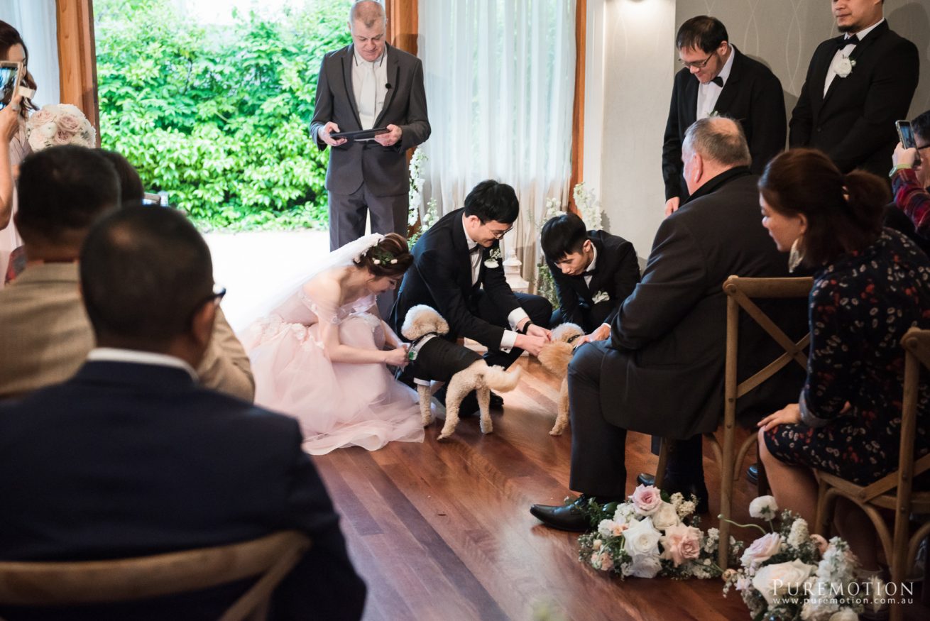 181018 Puremotion Wedding Photography Alex Huang Spicers Clovelly TiffanyKevin-0088