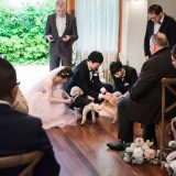 181018 Puremotion Wedding Photography Alex Huang Spicers Clovelly TiffanyKevin-0088