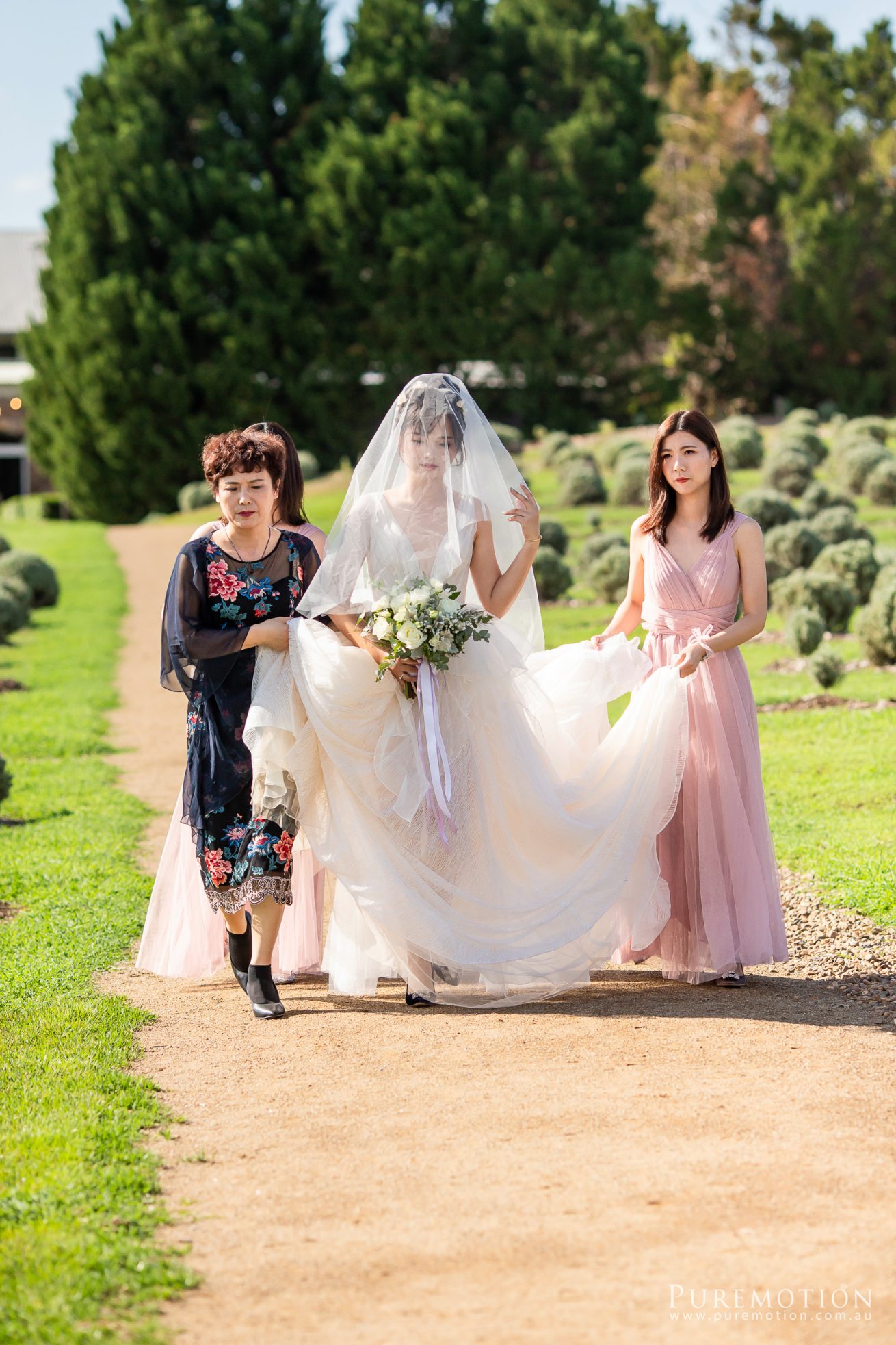 190323 Puremotion Wedding Photography Kooroomba Lavender Alex Huang ArielRico_Edited-0030