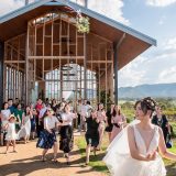 190323 Puremotion Wedding Photography Kooroomba Lavender Alex Huang ArielRico_Edited-0049