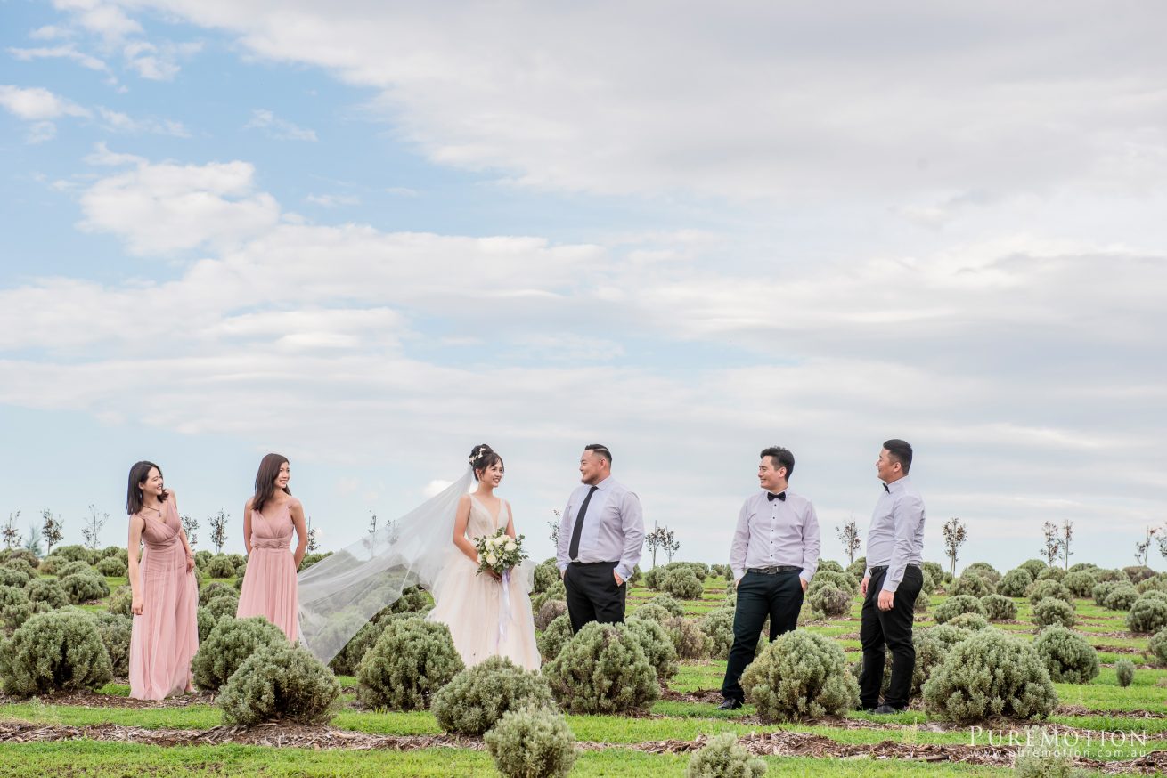 190323 Puremotion Wedding Photography Kooroomba Lavender Alex Huang ArielRico_Edited-0065