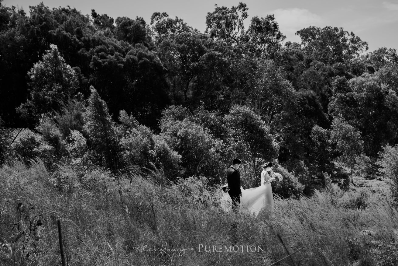 181103 Puremotion Wedding Photography Alex Huang StephBen-0060