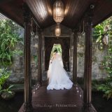 221112 Puremotion Wedding Photography Villa Botanica Airlie Beach MeniSteven Alex Huang-0126