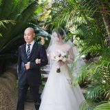 221112 Puremotion Wedding Photography Villa Botanica Airlie Beach MeniSteven Alex Huang-0141