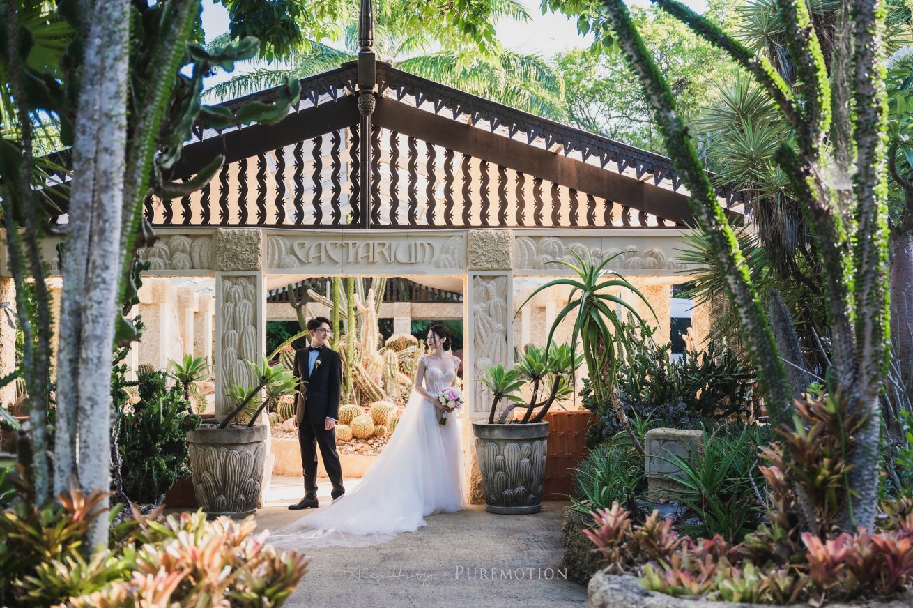 221112 Puremotion Wedding Photography Villa Botanica Airlie Beach MeniSteven Alex Huang-0171