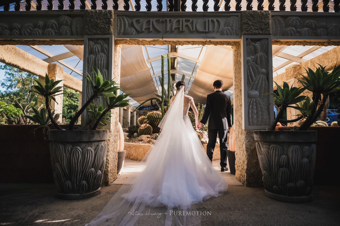 221112 Puremotion Wedding Photography Villa Botanica Airlie Beach MeniSteven Alex Huang-0173