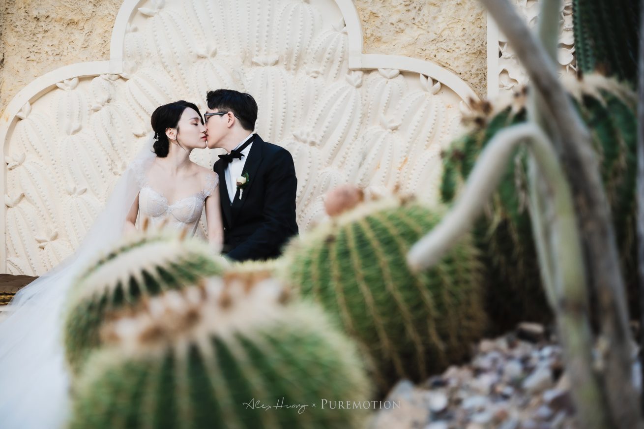221112 Puremotion Wedding Photography Villa Botanica Airlie Beach MeniSteven Alex Huang-0176