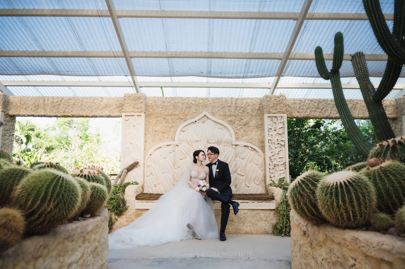 221112 Puremotion Wedding Photography Villa Botanica Airlie Beach MeniSteven Alex Huang-0177
